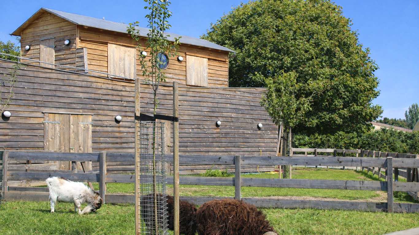 Arche Noah in der Schloss Hoym Stiftung